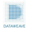 DataWeave宣布三年内收入增长660％以上